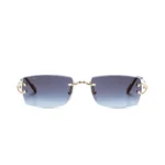 Monochromatic Sunglasses