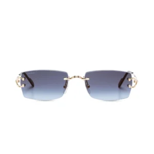 Monochromatic Sunglasses