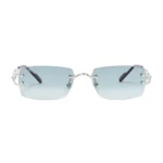 Polychromatic Sunglasses