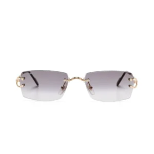 Monochromatic Sunglasses