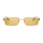 Polychromatic Sunglasses