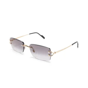 Monochromatic Sunglasses