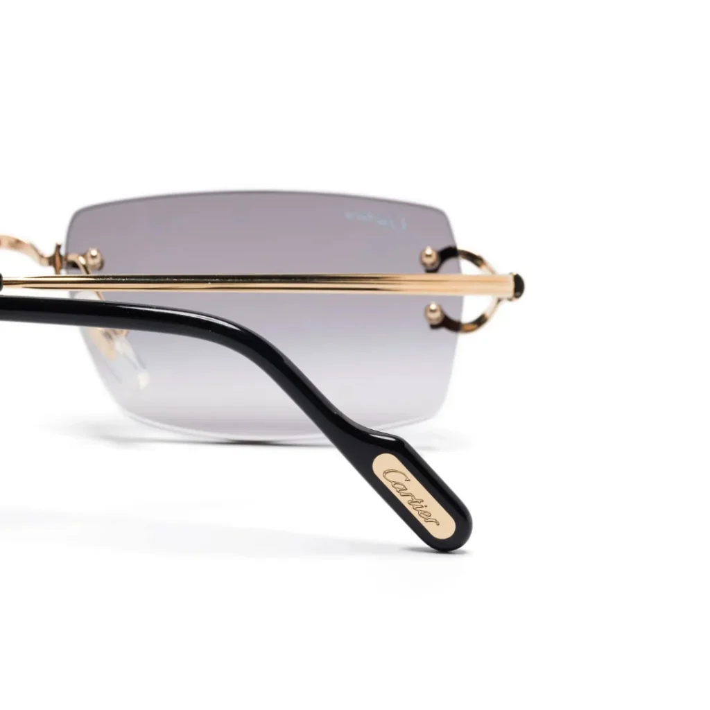 Monochromatic Sunglasses