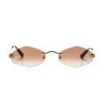 Polychromatic Sunglasses