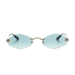 Polychromatic Sunglasses