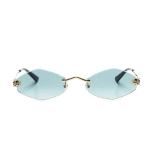 Polychromatic Sunglasses