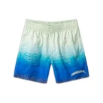 Casa Swim Shorts