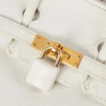 Birkin 25 Bag