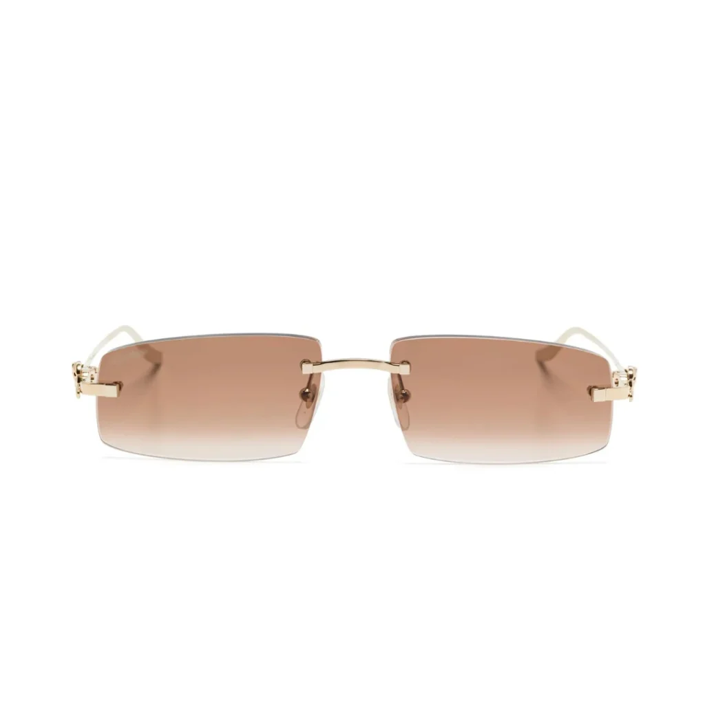 Monochromatic Sunglasses