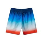 Casa Swim Shorts