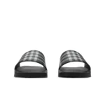 Slides Monochromatic